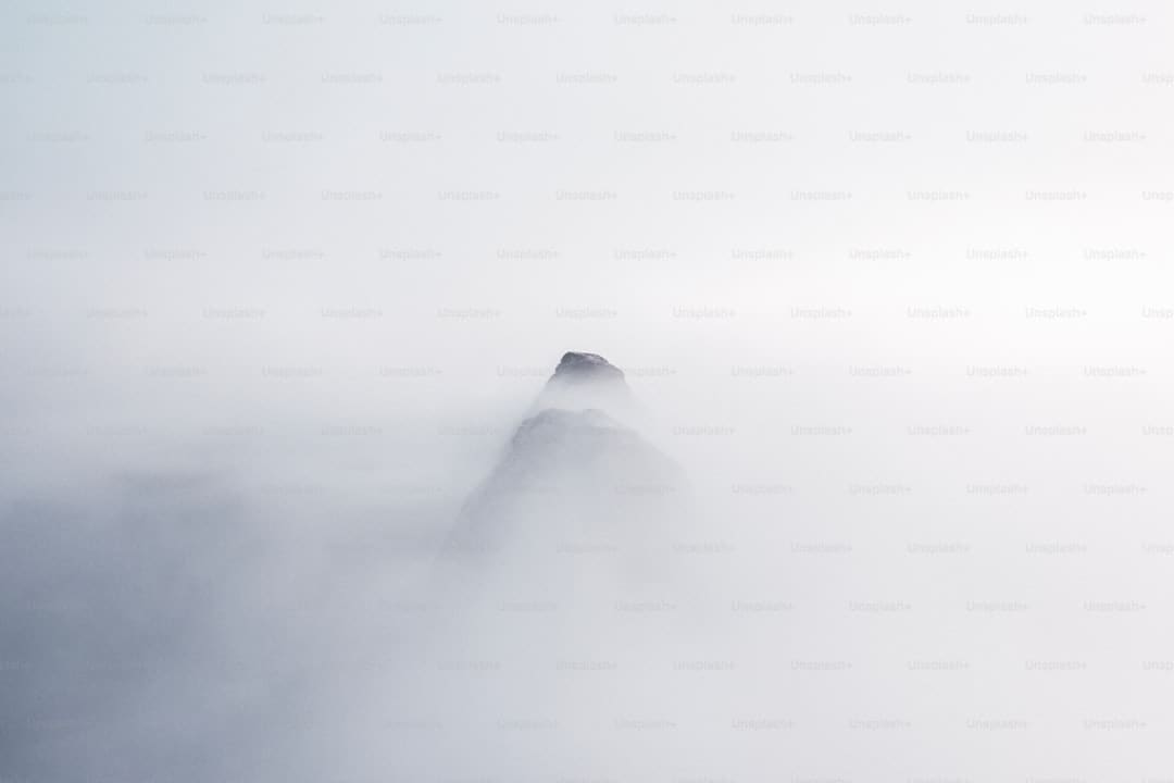 谁是孔门最可爱的弟子